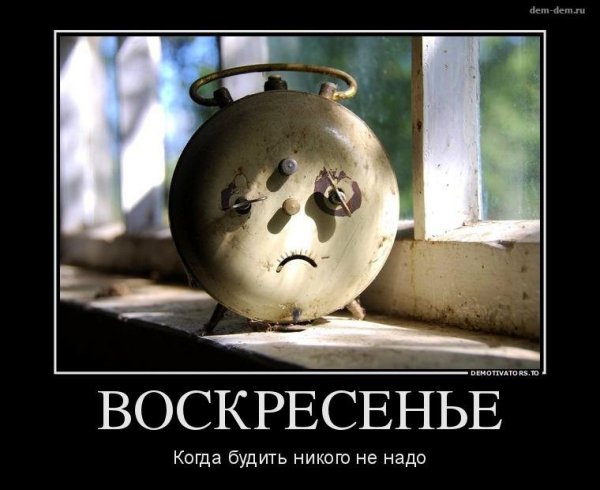 Воскресенье приколы