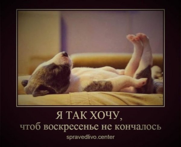 Воскресенье приколы