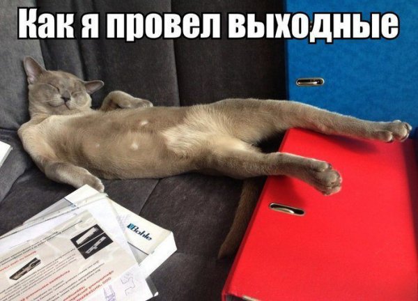 Воскресенье приколы