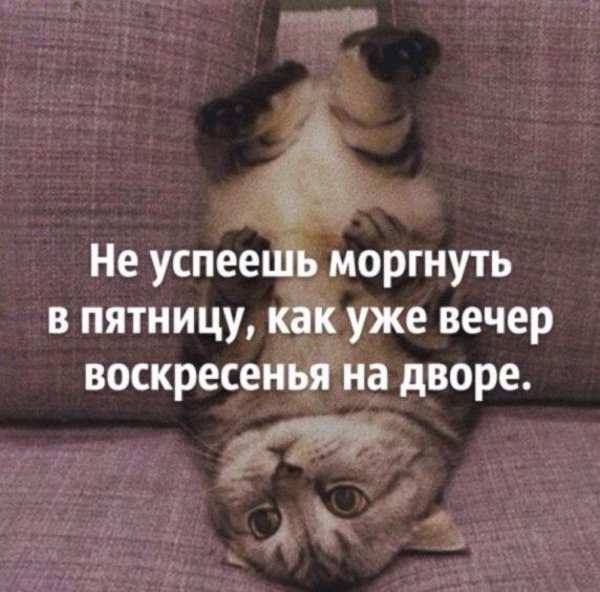 Воскресенье цитаты