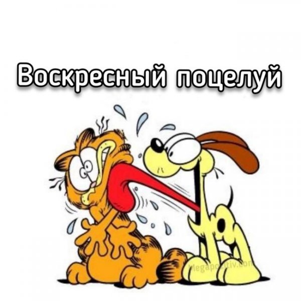 Воскресенье фото прикольное