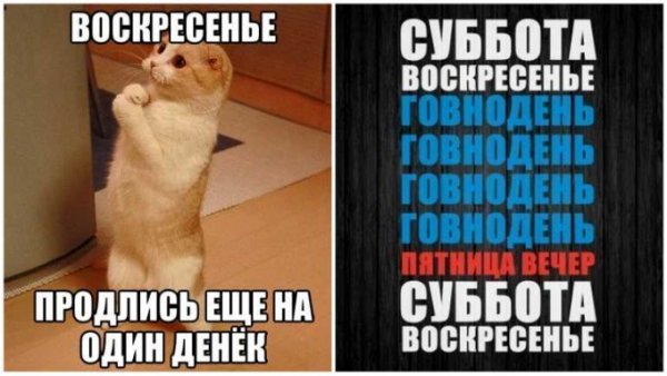 Воскресенье картинки прикольные для поднятия