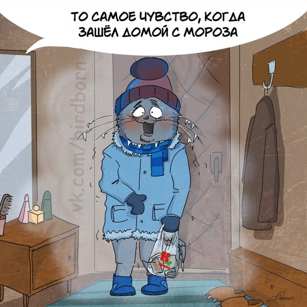 Зима юмор