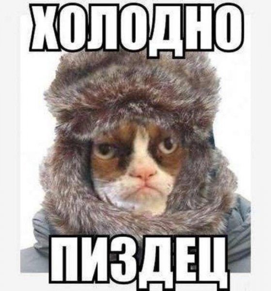 Холод прикольные