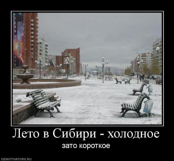 Про Холодное лето прикольные