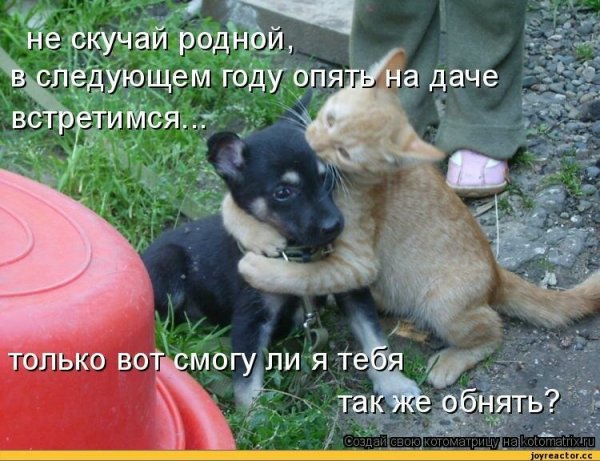 Скучно Веселые картинки