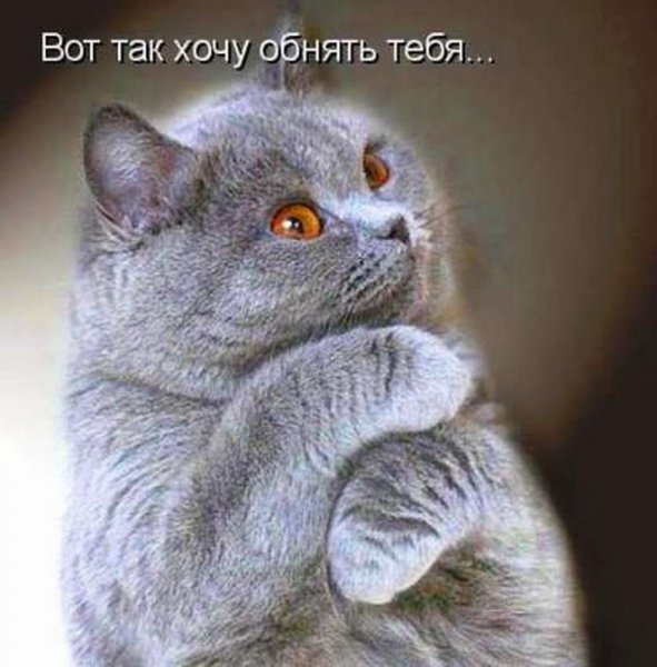 Хочу тебя обнять