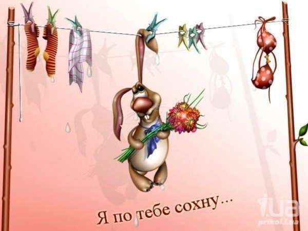Открытки любимому мужчине прикольные