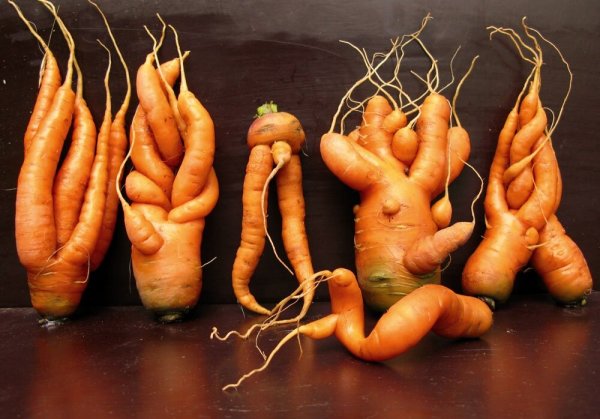 Уродливая морковь