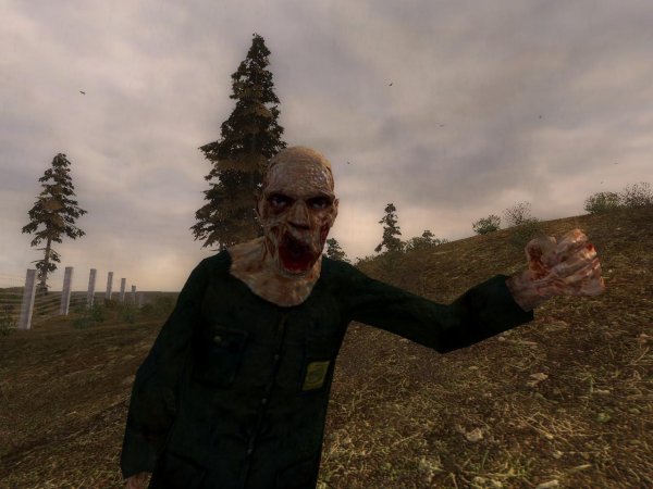 Stalker Бухалкер