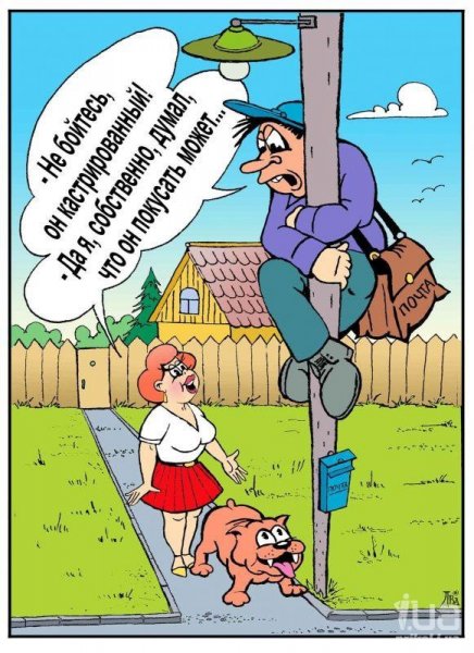 Остров карикатура