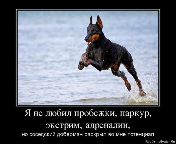 Демотиваторы смешные