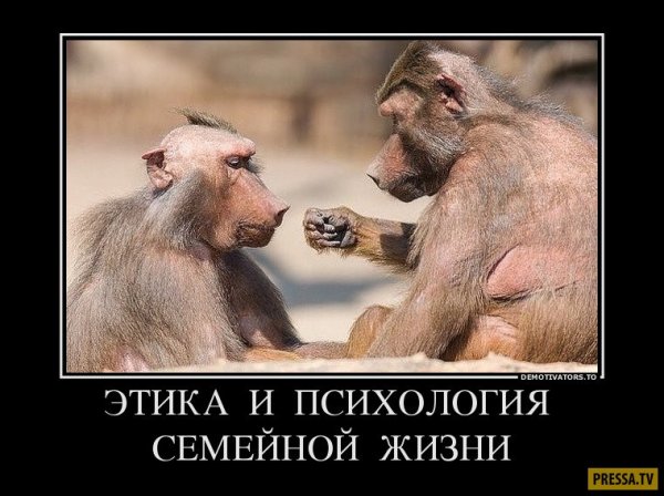 Мотиваторы смешные