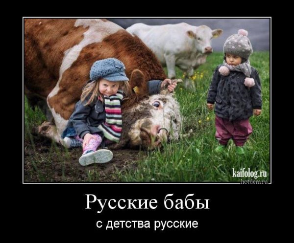 Прикольные демотиваторы