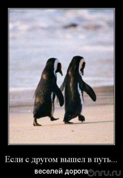 Если с другом вышел в путь юмор