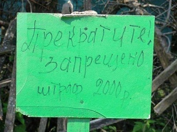 Прикольные картинки с надписями