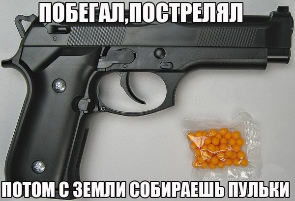 Самые маленькие служебные собаки