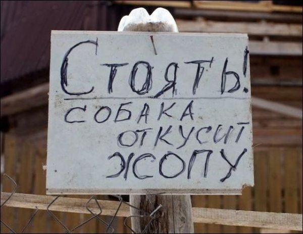 Прикольные открытки