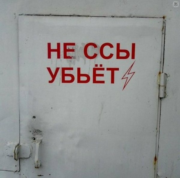 Смешные животные с надписями