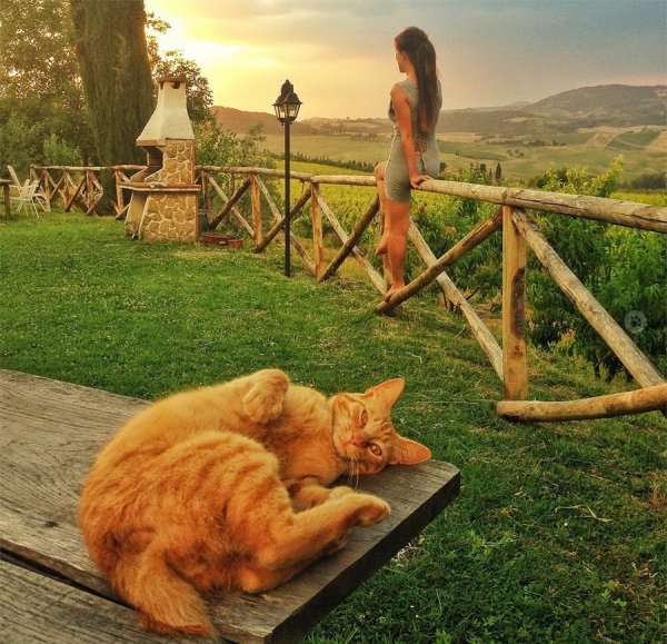 Позитивный пейзаж для поднятия настроения