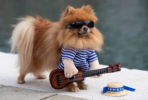 Весёлые фото для поднятия настроения