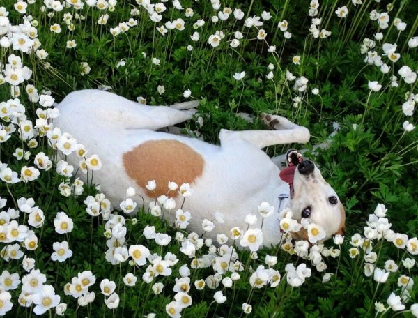 Приятная позитивная картинка