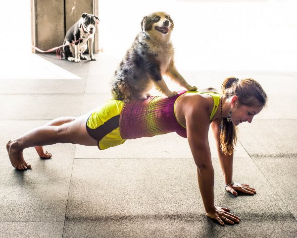 Смешная тренировка