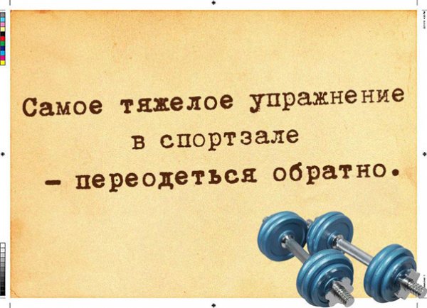 Смешные цитаты про спорт