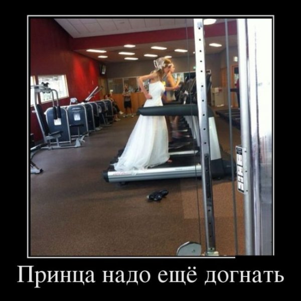 Демотиваторы про тренажерный зал