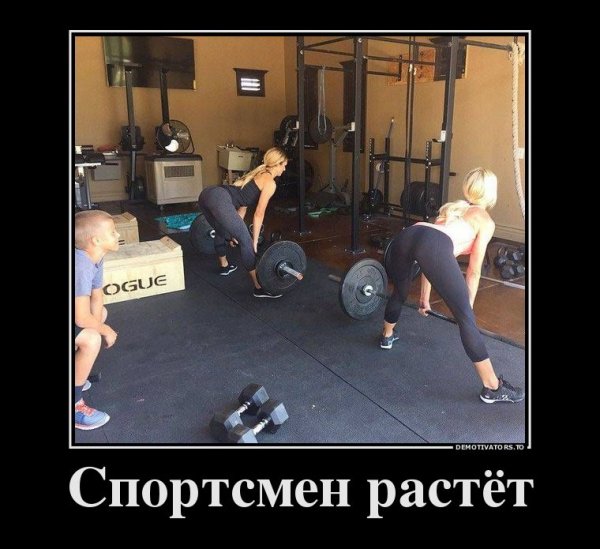 Демотиваторы про спортзал