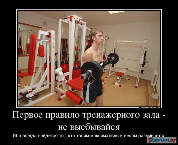 Приколы про тренажерку
