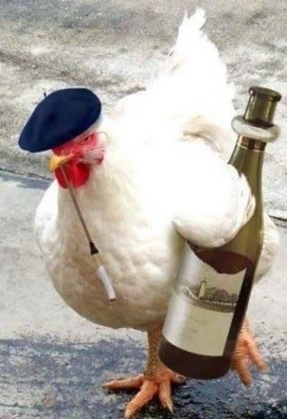 Курица прикол