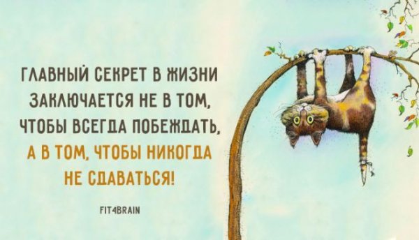 Позитивные Мотивирующие высказывания