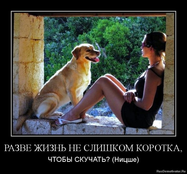 Демотиваторы прикольные о жизни