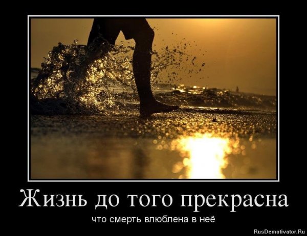 Жизнь прекрасна демотиваторы
