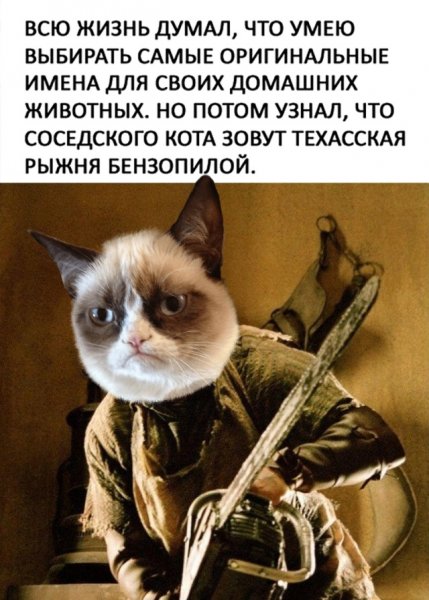 Приколы про жизнь