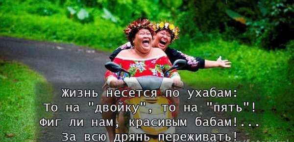 Жизнь несется по ухабам