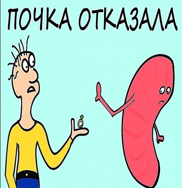 Фразеологизмы смешные картинки