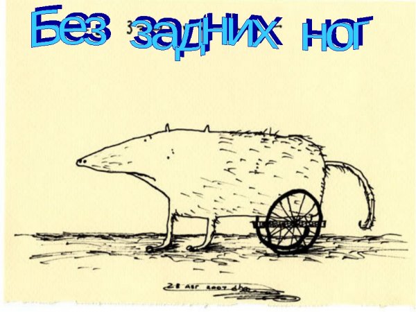 Рисунок Веселые фразеологизмы