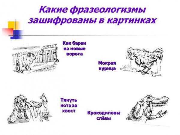 Фразеологический зверинец картинка