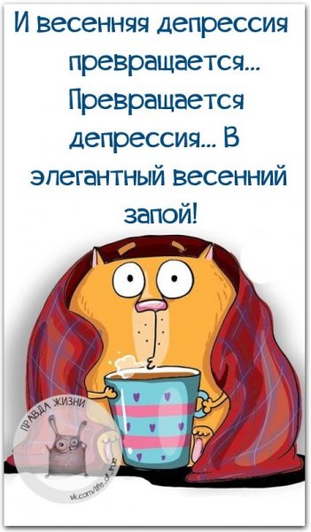 Книга о депрессии Саша Скочиленко