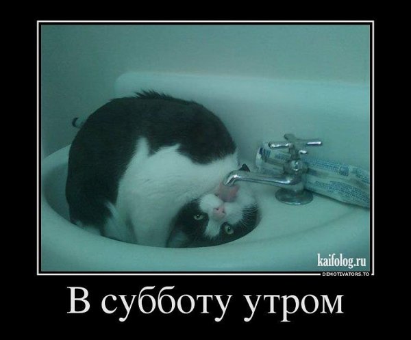 Открытка с юмором женщине