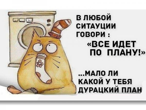 Мотивирующие цитаты с юмором