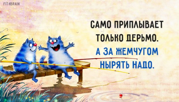 Веселые Мотивирующие фразы