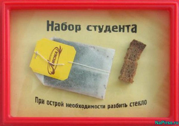 Афоризмы про студентов