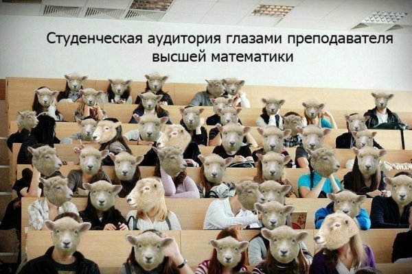Приколы про студентов