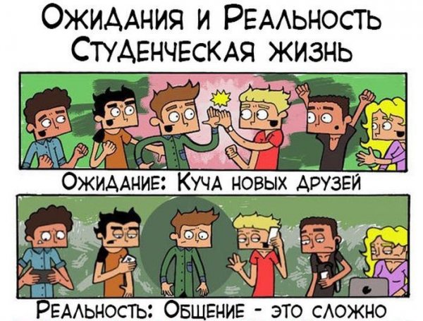 Шутки про студенческую жизнь