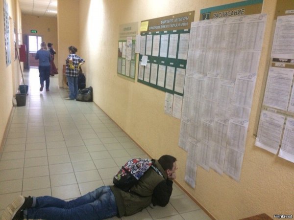 Студенческие картинки смешные