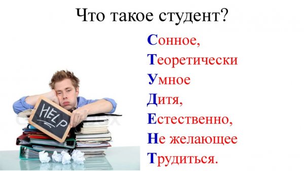 Цитаты про студентов