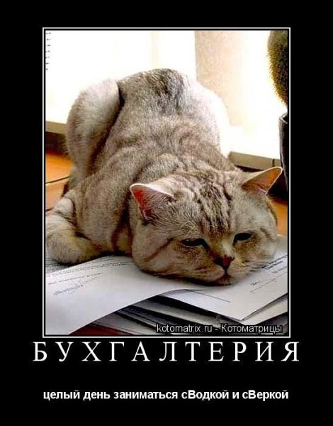Приколы про бухгалтерию в картинках